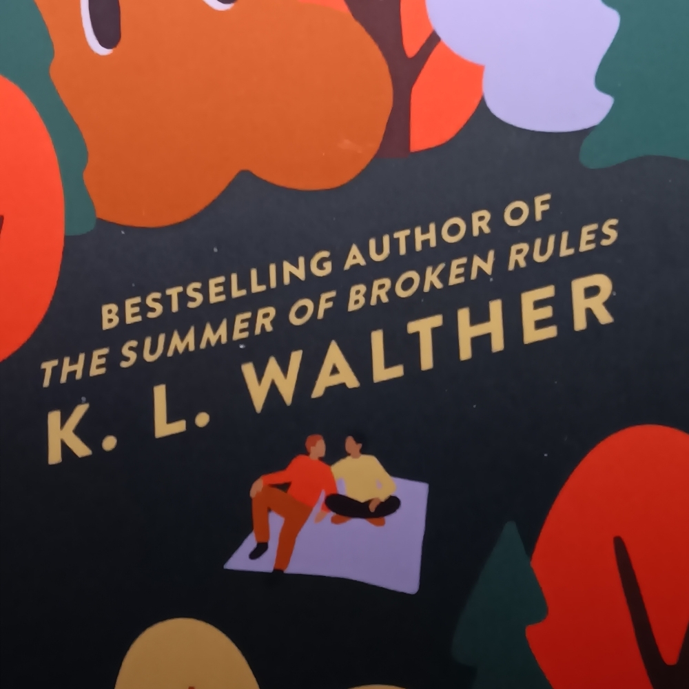 Book: Maybe Meant to be - Picture 5 of 8